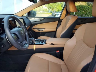 2024 Lexus NX 250 Premium