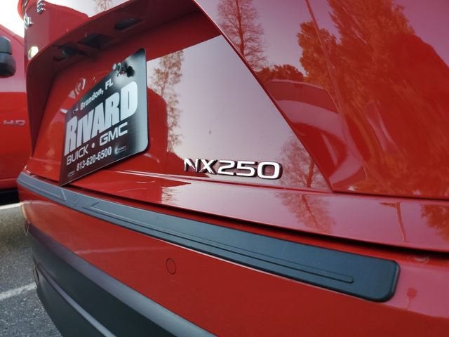 2024 Lexus NX 250 Premium