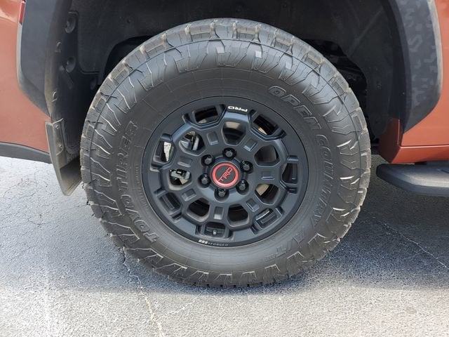 2024 Toyota Sequoia SR5